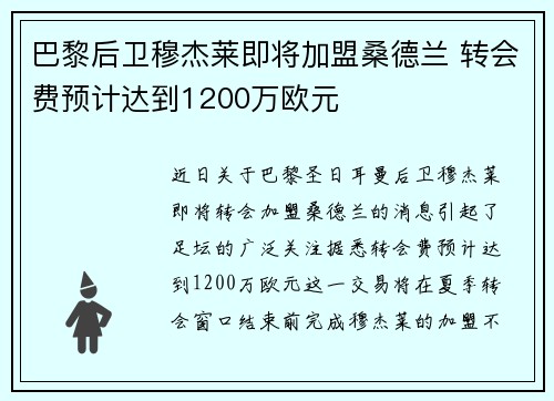 巴黎后卫穆杰莱即将加盟桑德兰 转会费预计达到1200万欧元